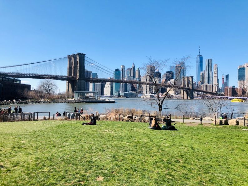 Brooklyn Bridge Park - people sitting on grass field near bridge during daytime