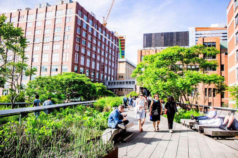 High Line - people walking on sidewalk near green trees and brown concrete building during daytime